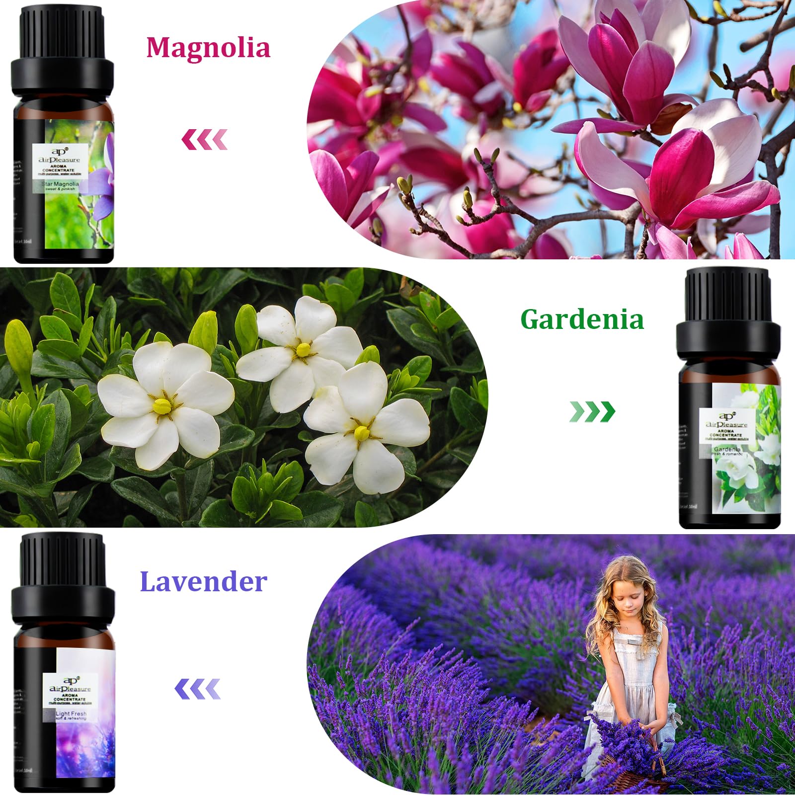 ap airpleasure Flower Essential Oils Set (6x10ml) – Gardenia, Magnolia, Shangri-La, Jasmine, White Tea, Lavender