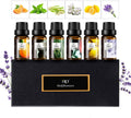 ap airpleasure Refresh Essential Oils Set — 6x10ml for Diffuser, Humidifier & Aromatherapy