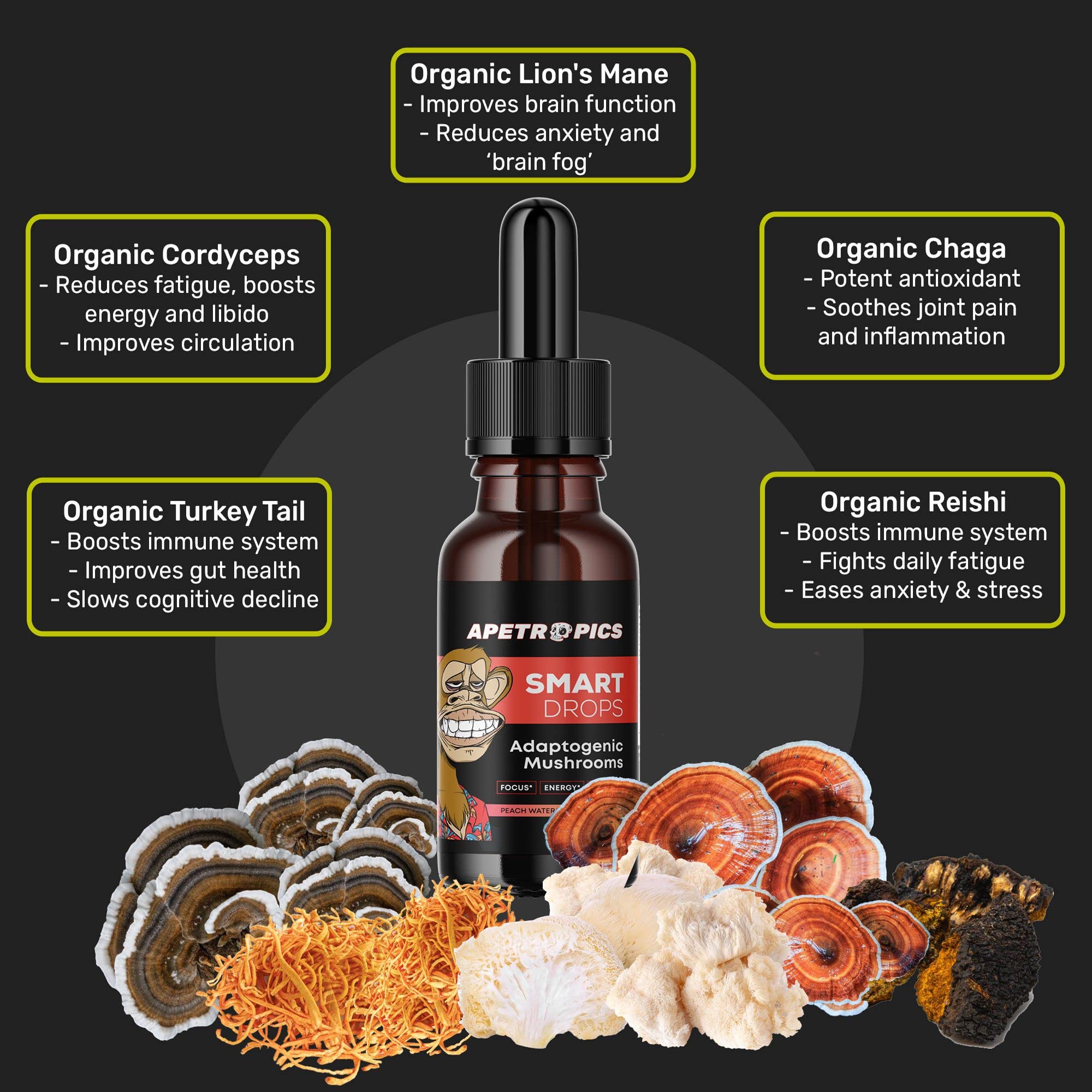 Apetropics Smart Drops - 5-in-1 Adaptogenic Mushroom Tincture for Focus (Lion's Mane, Cordyceps, Turkey Tail, Chaga, Reishi) Peach Watermelon - 30 Servings (3 Pack)