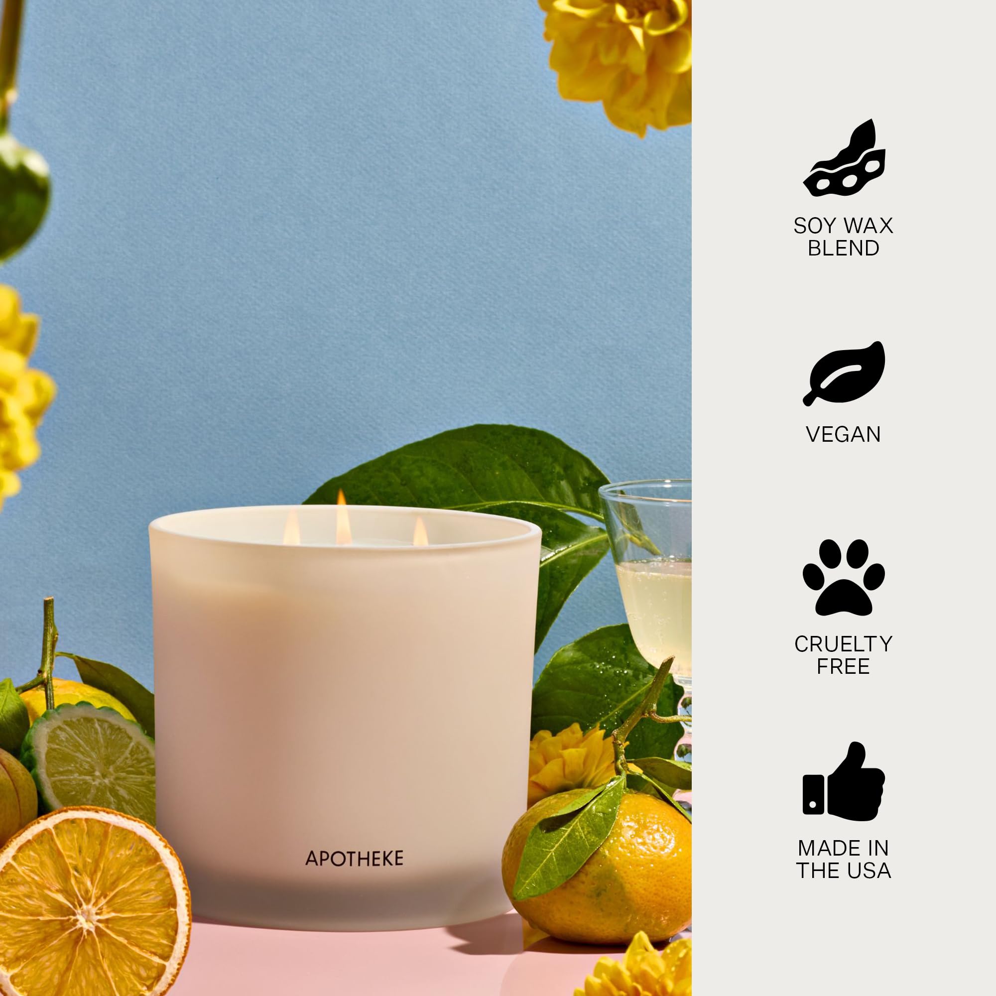 APOTHEKE Bergamot Tangerine 3-Wick Candle – 26 oz Soy Jar