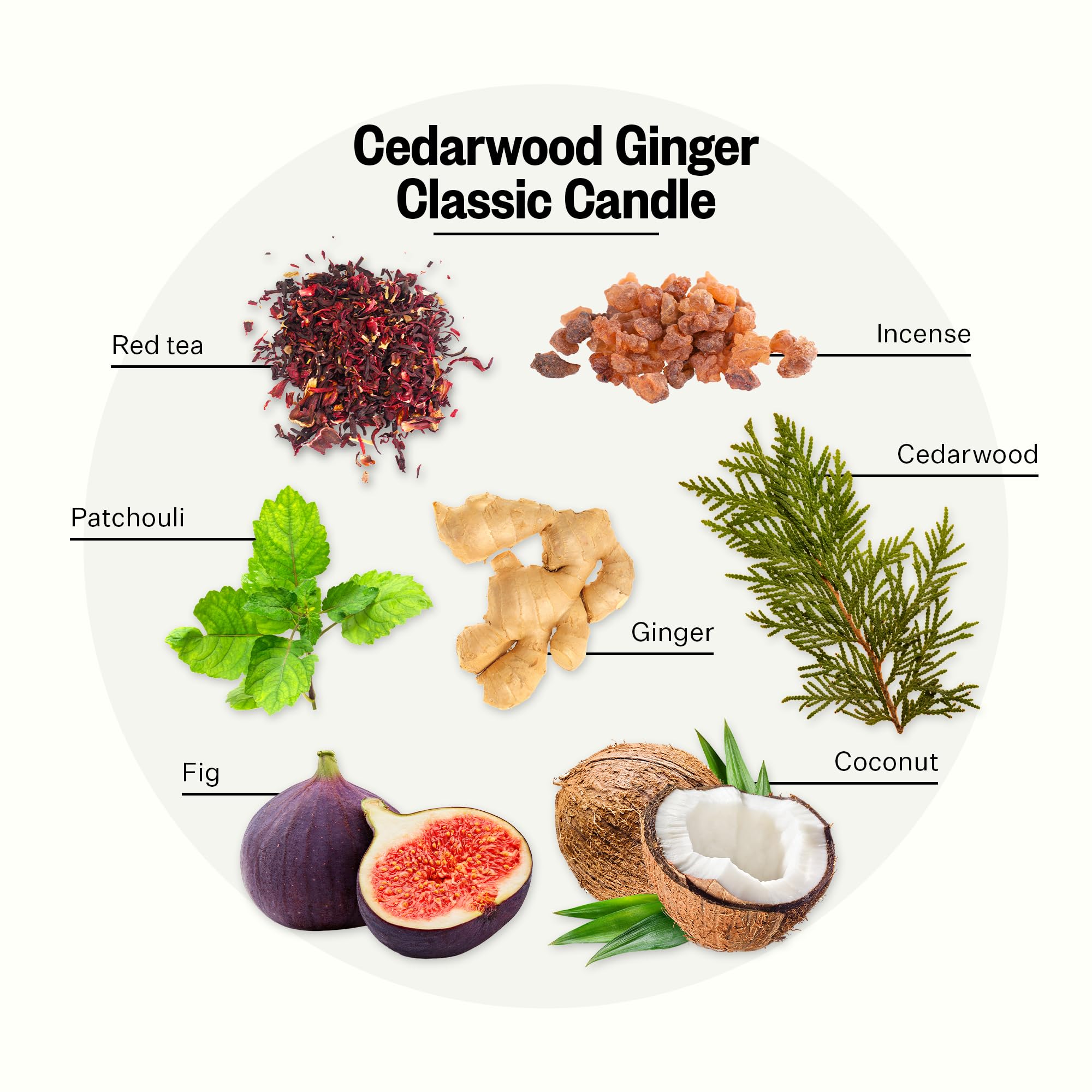 APOTHEKE Cedarwood Ginger 10.5 oz Soy Candle – Luxury Jar, Non-Toxic