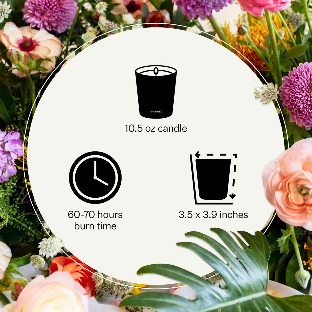 APOTHEKE Cedarwood Ginger 10.5 oz Soy Candle – Luxury Jar, Non-Toxic