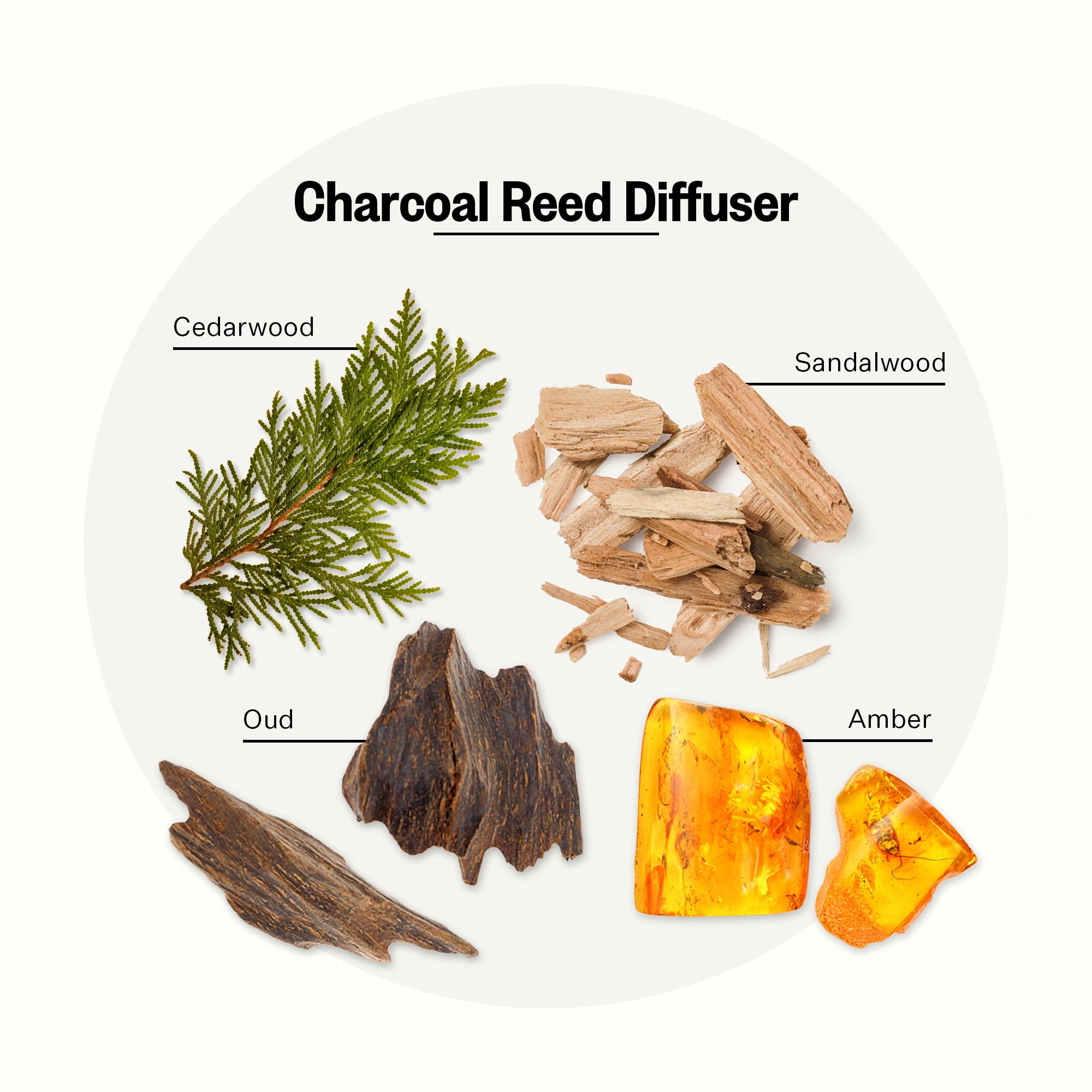 Apotheke Charcoal Reed Diffuser – Luxury Home Fragrance, 6.7 fl oz, 10 Reed Sticks