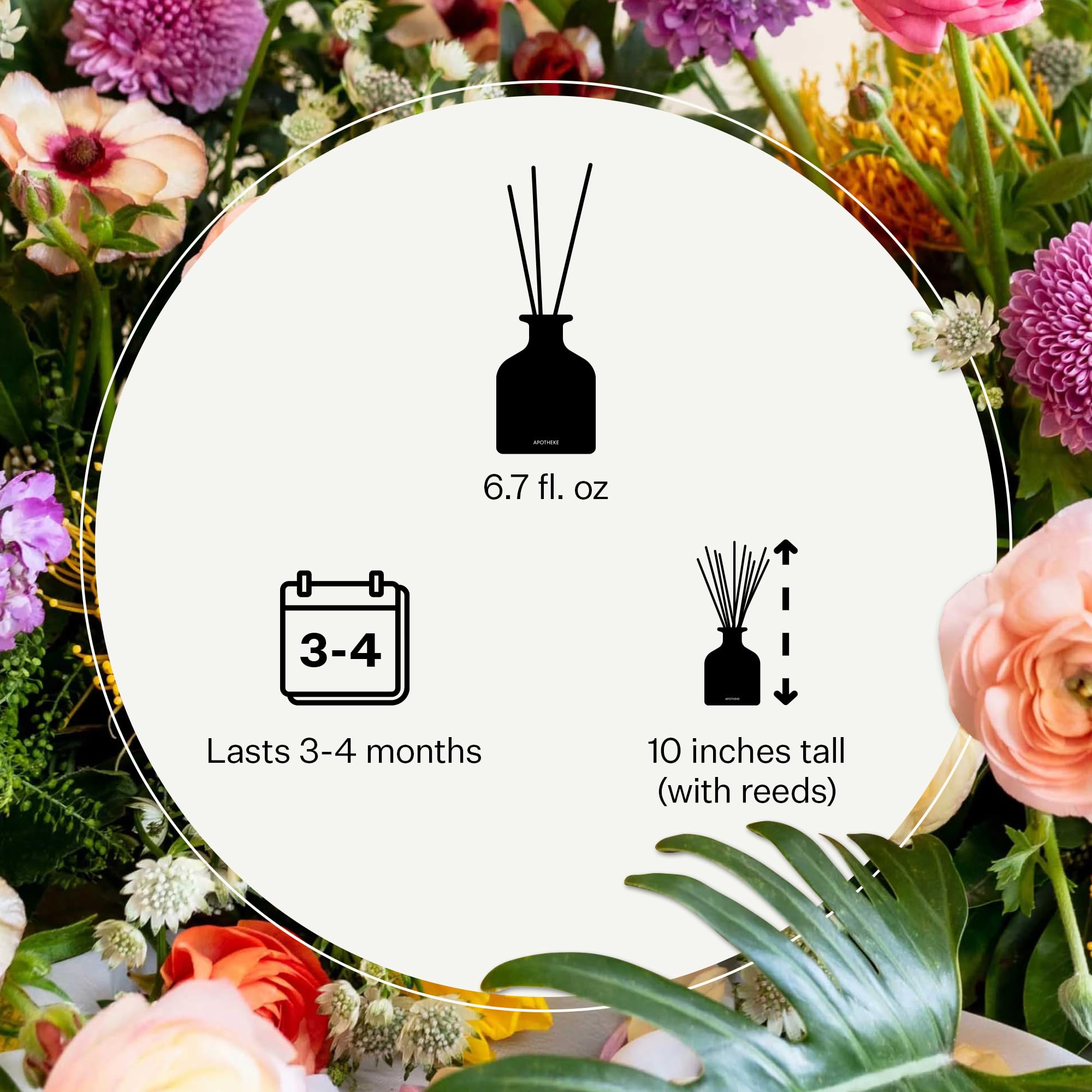 Apotheke Charcoal Reed Diffuser – Luxury Home Fragrance, 6.7 fl oz, 10 Reed Sticks
