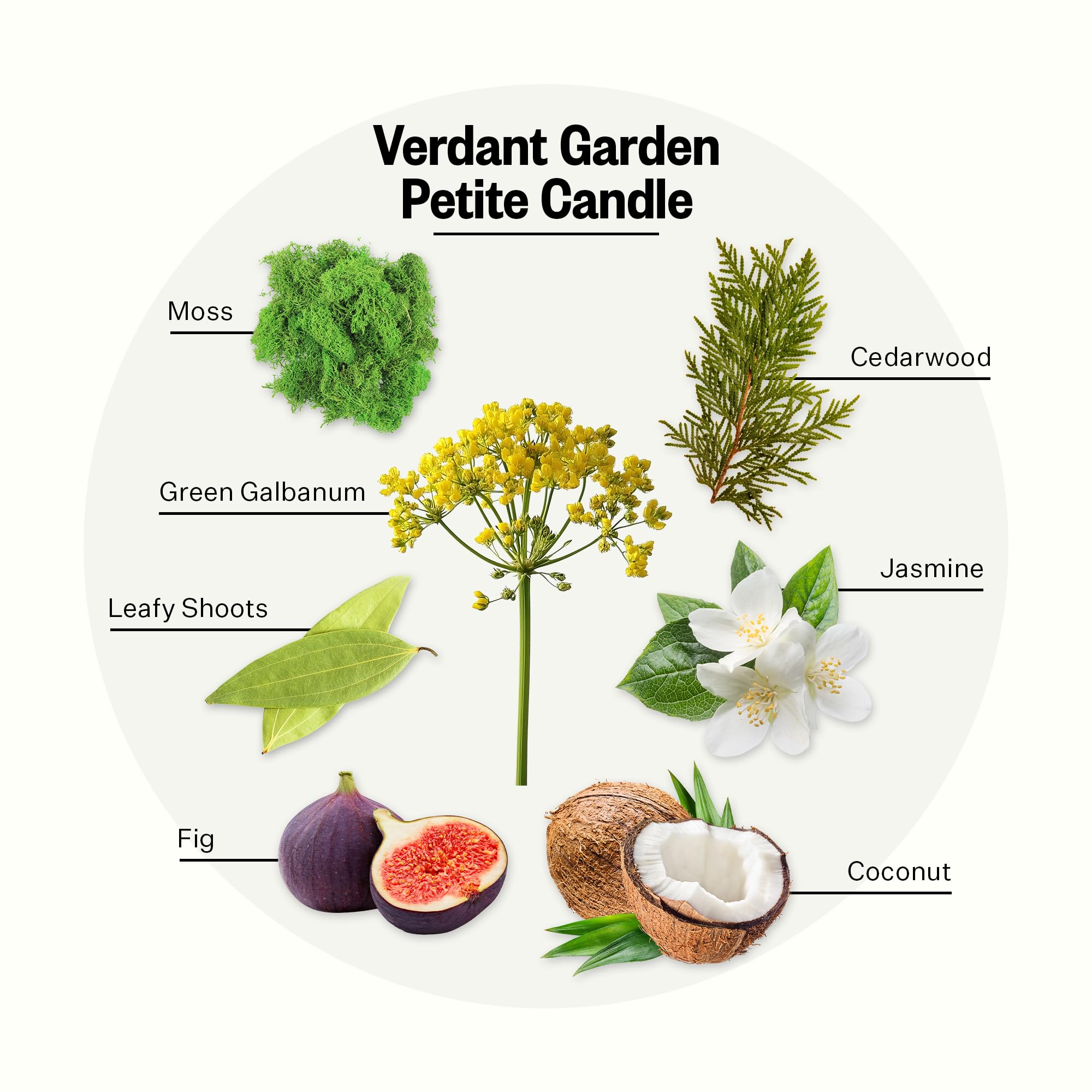Apotheke Verdant Garden Petite Aromatherapy Jar Candle | Luxury Soy Wax