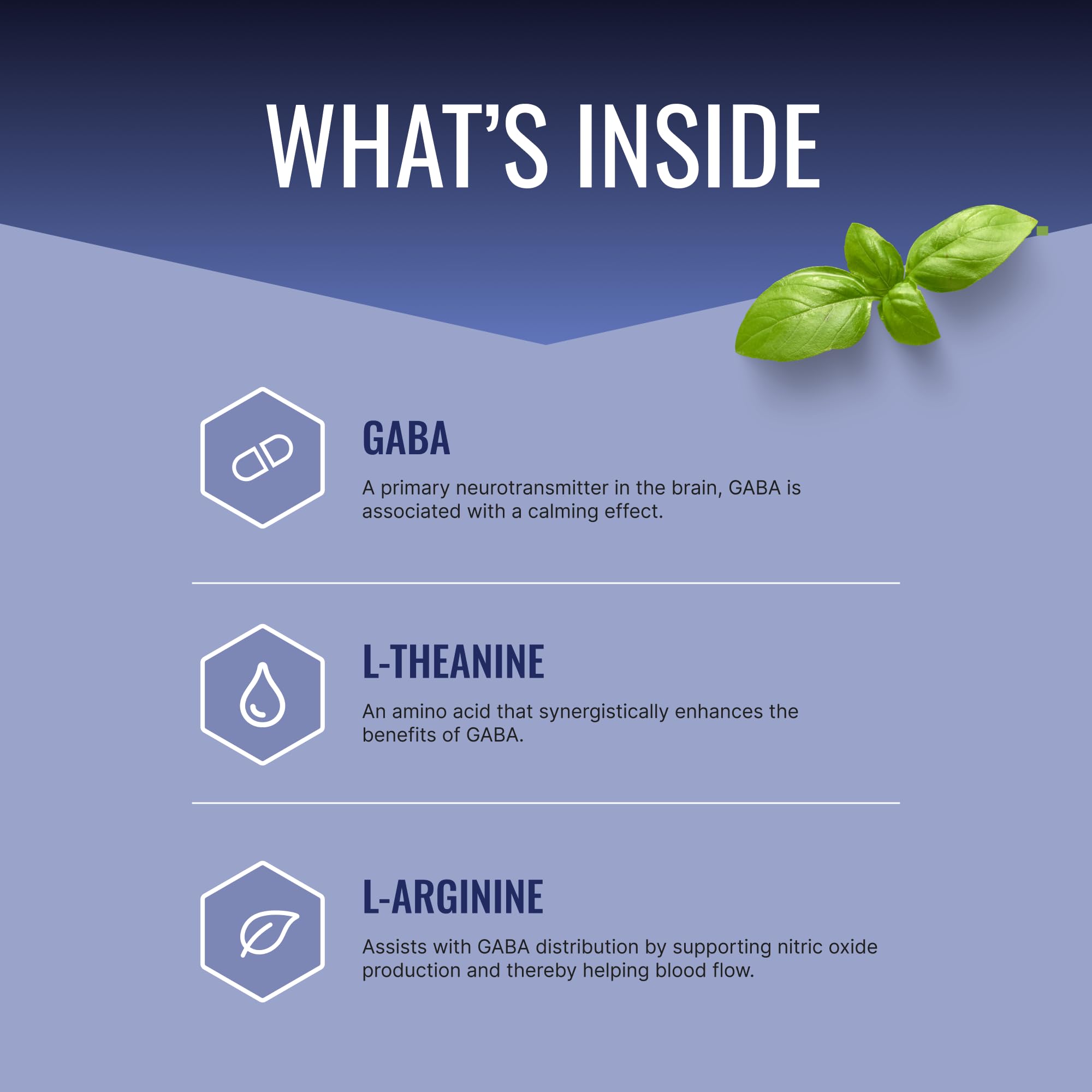 Approved Science GABA+ – Calm, Sleep & Mood Support | 60 Vegan Capsules