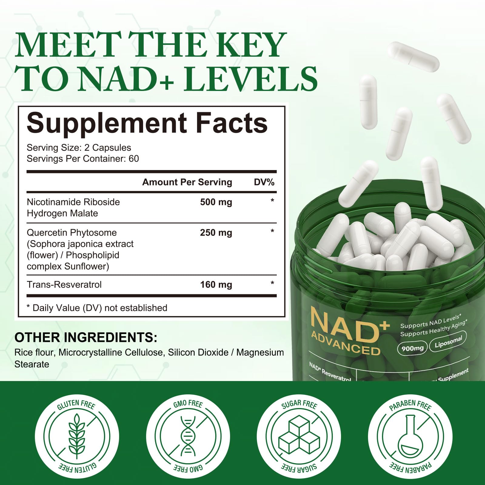 APU.FAIRY NAD Supplement - Liposomal NAD+ with Nicotinamide Riboside | Energy, Anti-Aging & Cellular Support | 120 Capsules