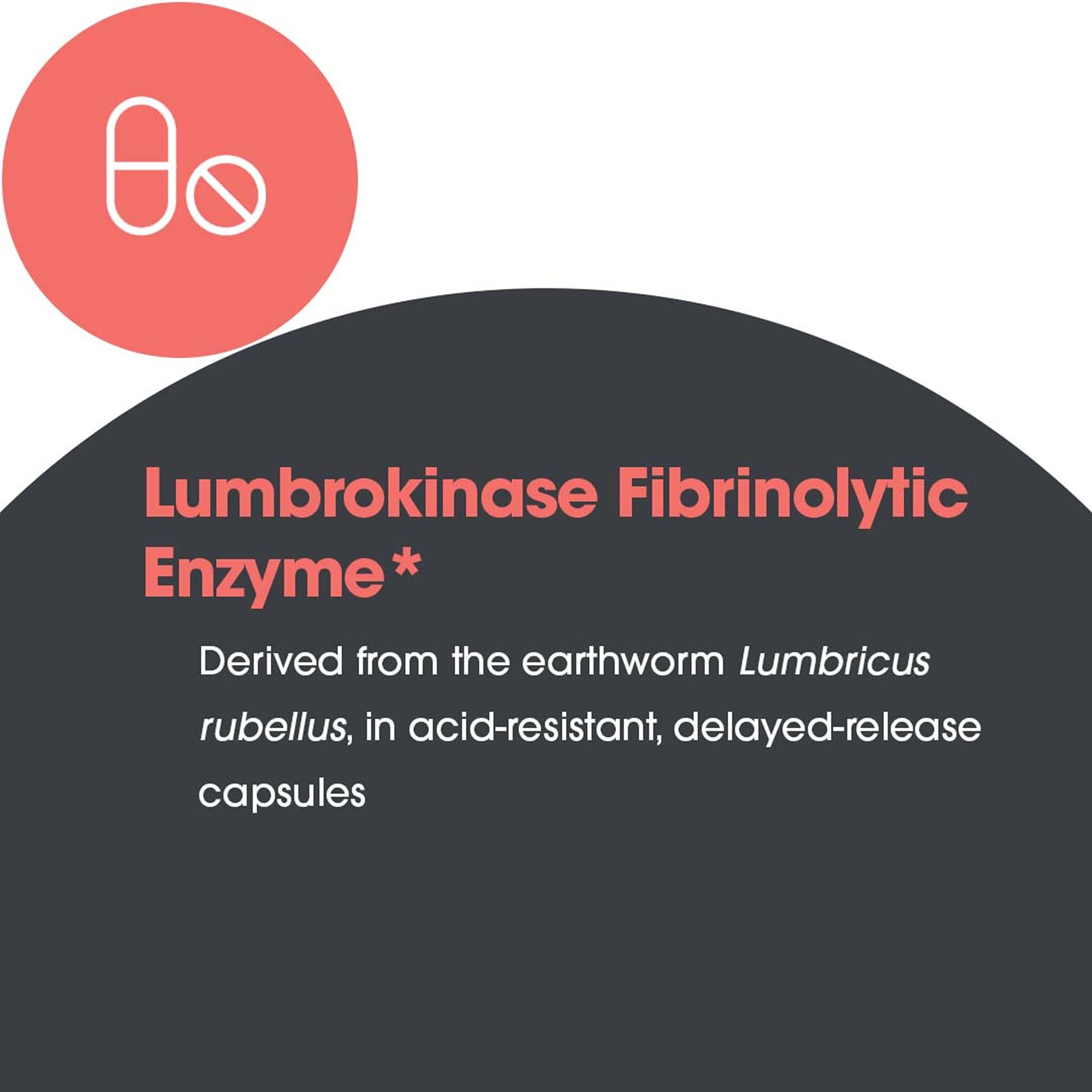 ARG Lumbrokinase Circulatory System Support – Delayed-Release Enzyme Supplement | Allergy Research Group
