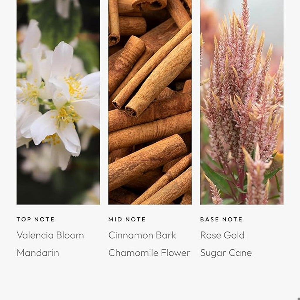 Aroma360 Leo Pro-Pod Oil Blend – Valencia Bloom, Cinnamon Bark & Rose Gold | Luxury Diffuser Oil 50 mL