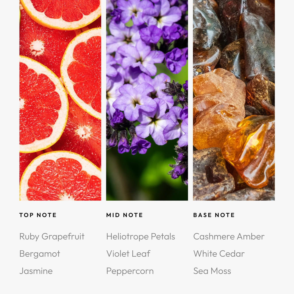 Aroma360 Red Diffuser Oil Blend – Luxury Reed Diffuser with Ruby Grapefruit, Heliotrope Petals & Amber