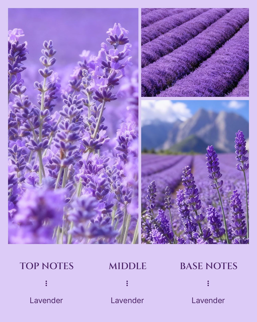 Aromadd Lavender Diffuser Oil — Hotel-Inspired Lavender for Waterless Diffusers, 3.38 fl oz