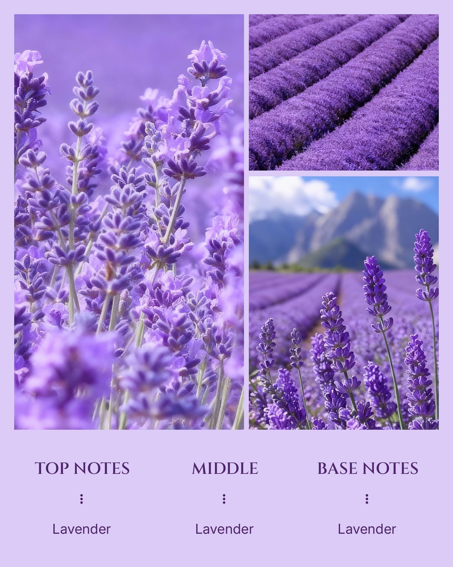 Aromadd Lavender Diffuser Oil — Hotel-Inspired Lavender for Waterless Diffusers, 3.38 fl oz