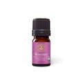 Aromatics International Premium Rosemary ct Camphor Essential Oil 5ml