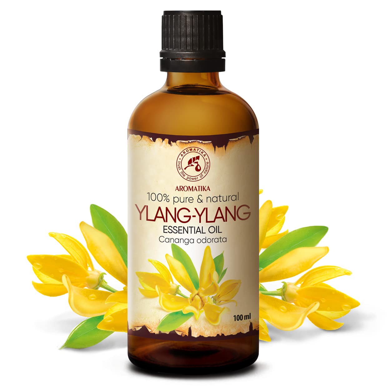 AROMATIKA Ylang Ylang Essential Oil 3.4oz — Pure Cananga Odorata for Skin, Hair & Diffusers