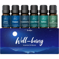 Aromtopia Essential Oil Blends for Diffusers – 6x10ml Gift Set