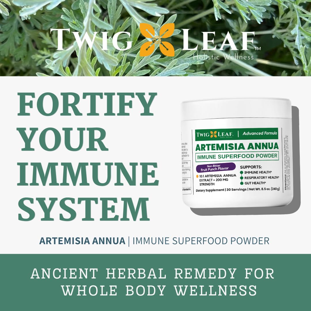 Artemisia Annua Sweet Wormwood Herbal Powder | 30 Servings | Non-GMO, Vegan