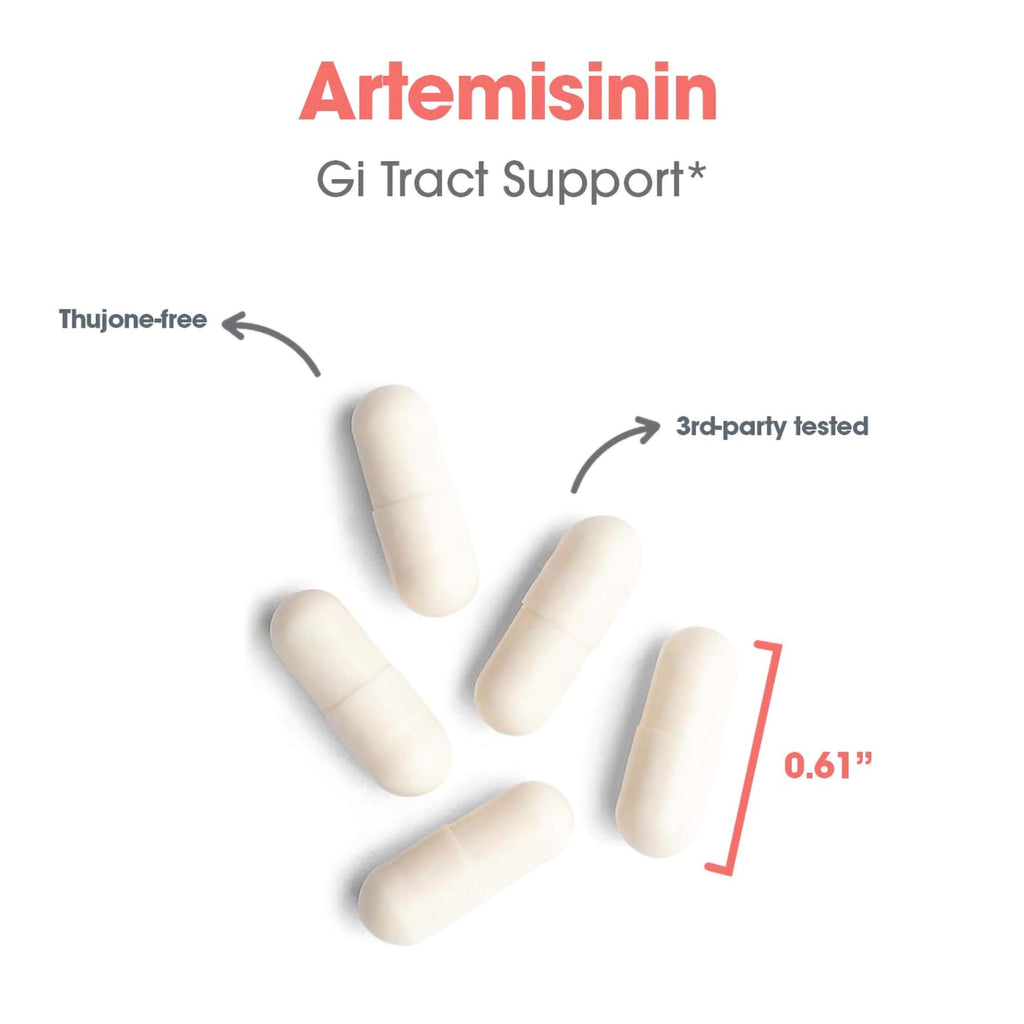 Allergy Research Group Artemisinin Supplement – GI Tract Support, 300 Count