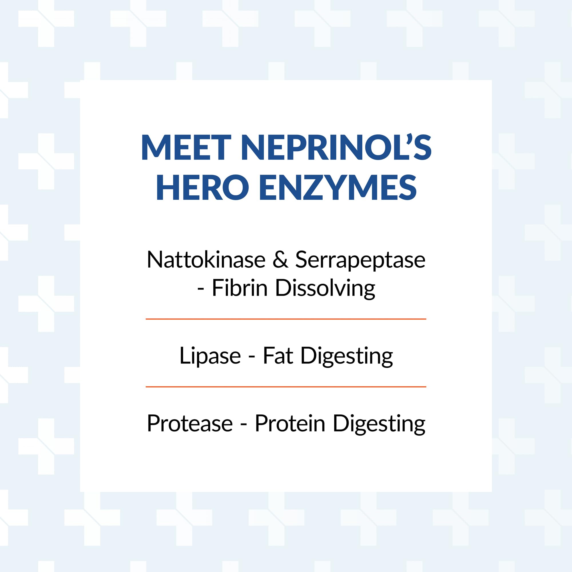 Arthur Andrew Medical Neprinol AFD - Multi Enzyme Blend with Serrapeptase & Nattokinase (300 Count)