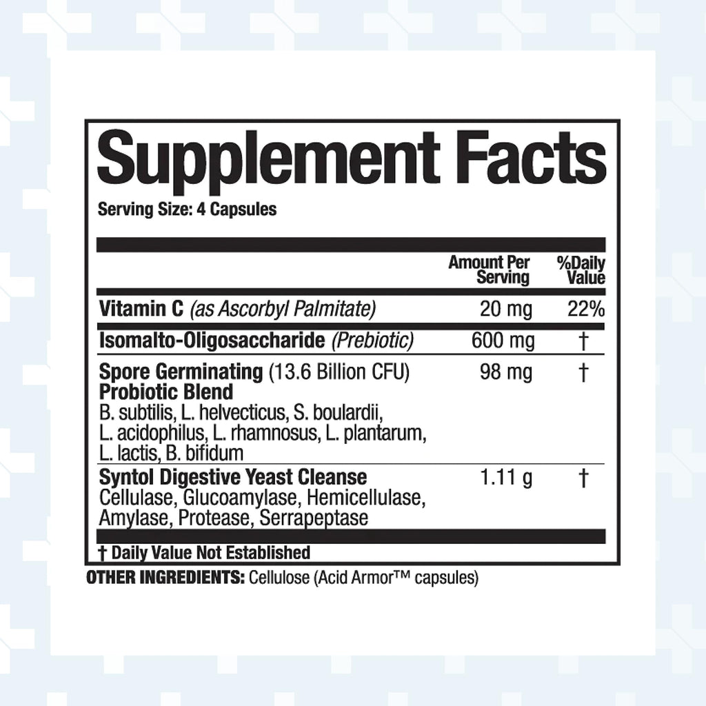 Arthur Andrew Medical Syntol 3-in-1 Probiotics, Prebiotic Fiber & Enzymes – 180 Capsules