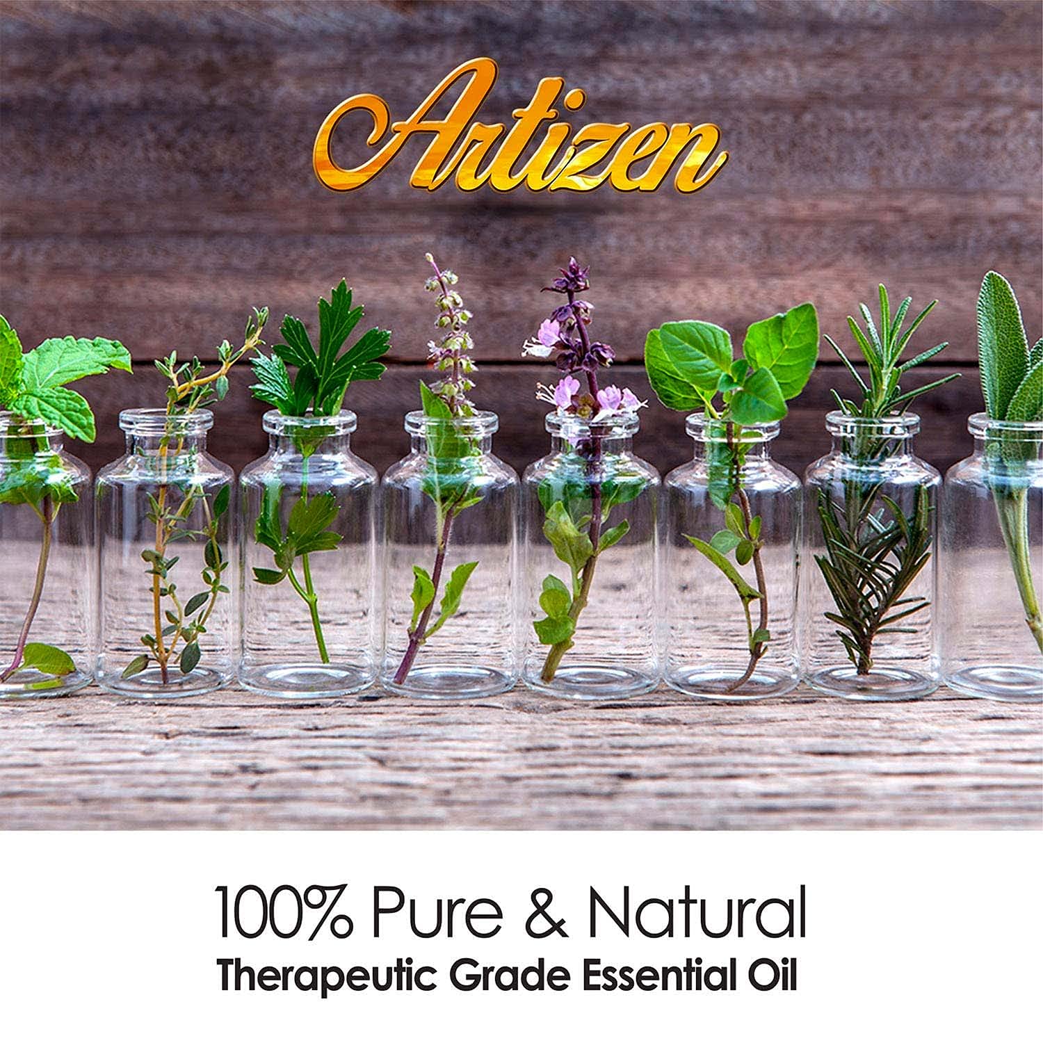 Artizen Ravensara Essential Oil 30ml (1 fl oz) – 100% Pure & Natural