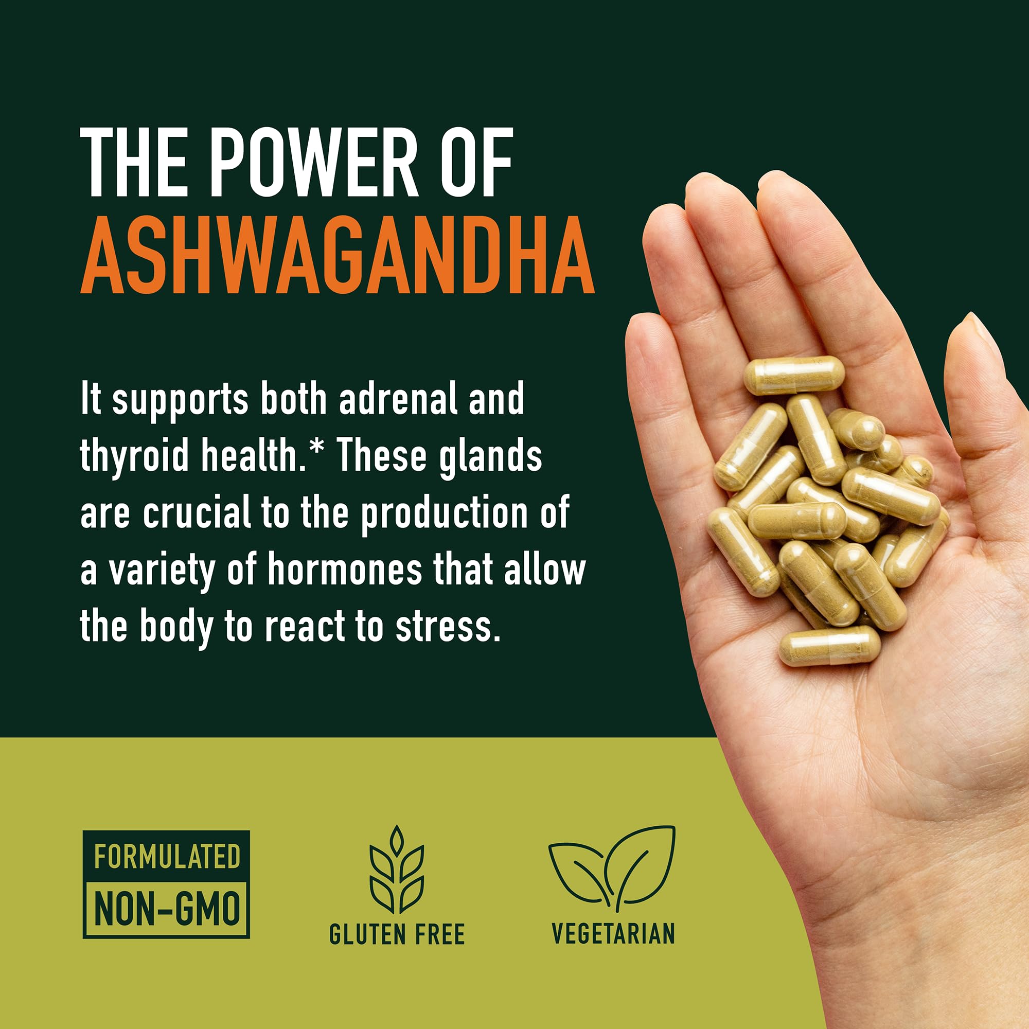 Ashwagandha 1300mg | Stress Resistance & Energy Boost | 120ct Non-GMO