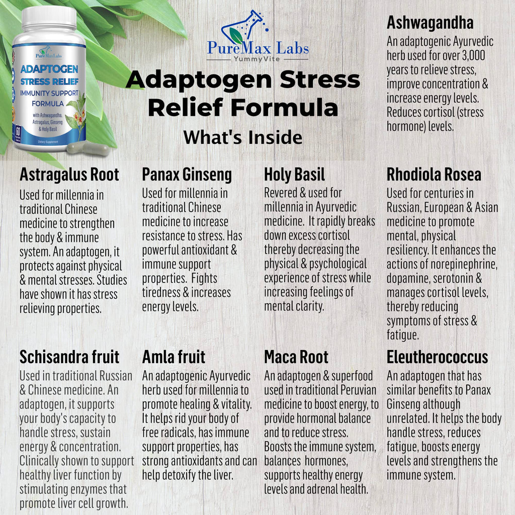 Adaptogen Stress Relief Immune Support Formula - Ashwagandha, Ginseng & 9 Herbs, 60 Capsules (Pack of 2)
