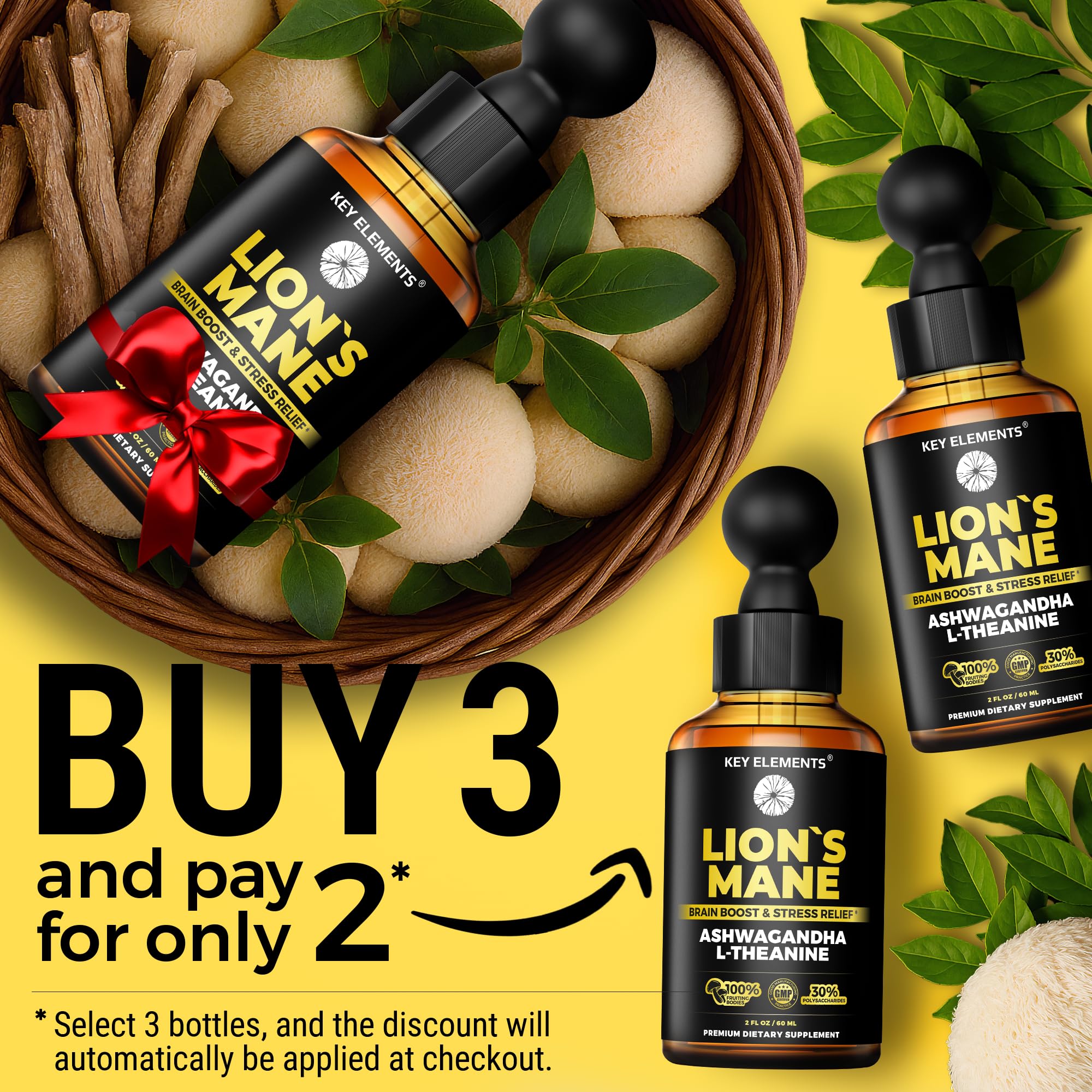 KEY ELEMENTS Lions Mane Extract for Memory, Focus & Brain Health – Tincture with Ashwagandha & L-Theanine