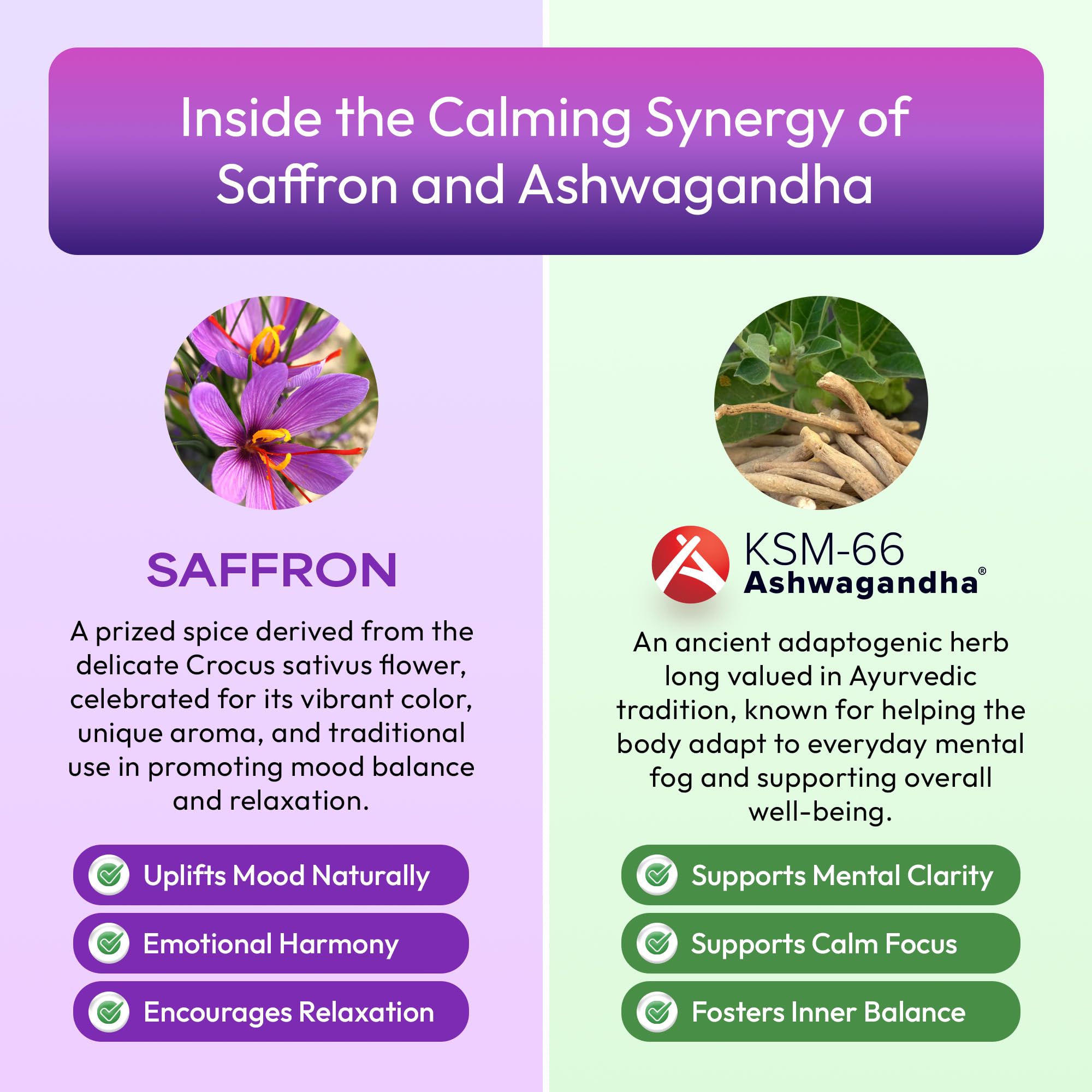 Ashwagandha & Saffron Supplement with KSM-66 – Vegan, Gluten-Free (60ml) – Mixed Berry