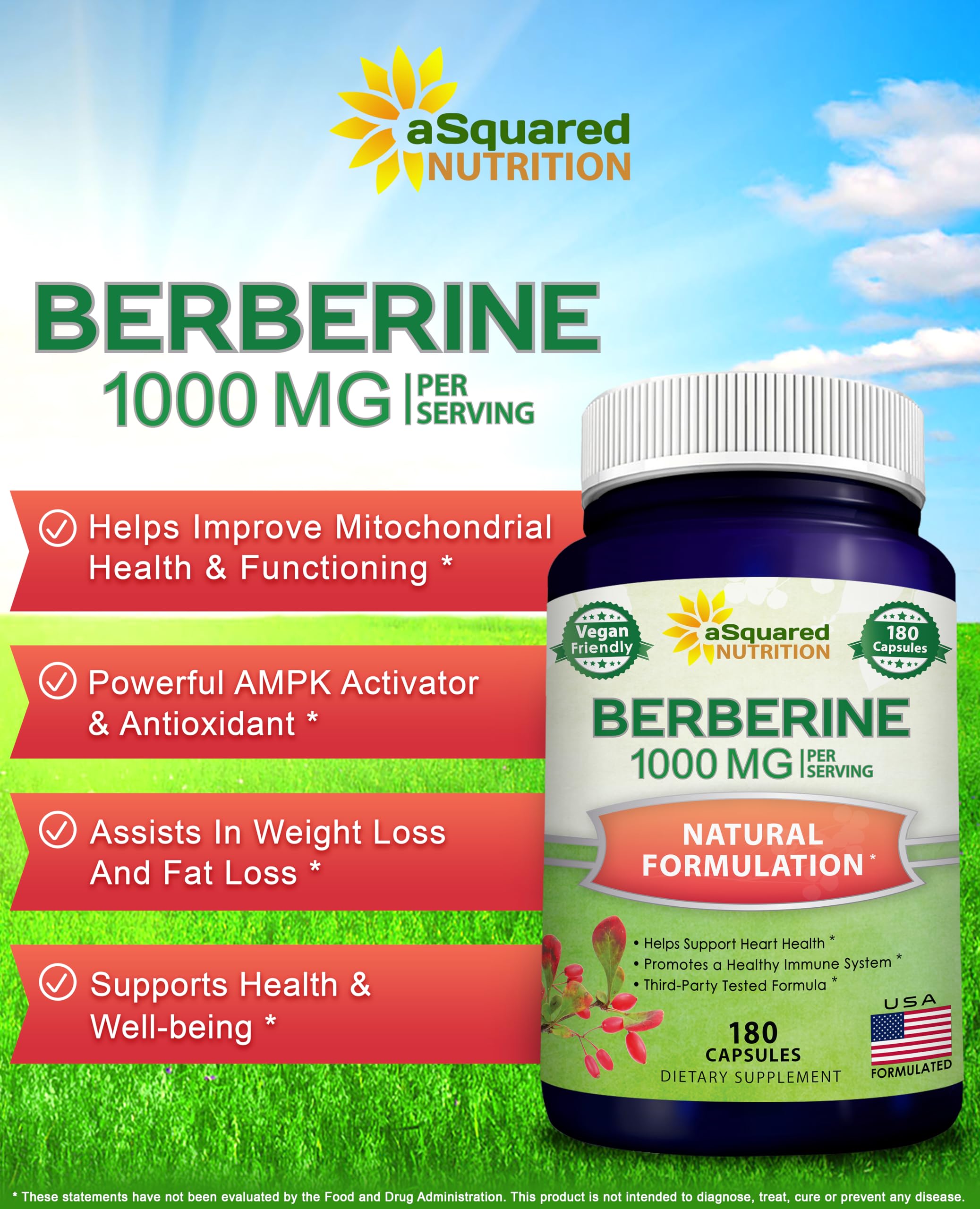 aSquared Nutrition Pure Berberine 1000mg – 180 Veggie Capsules | Max Strength HCl
