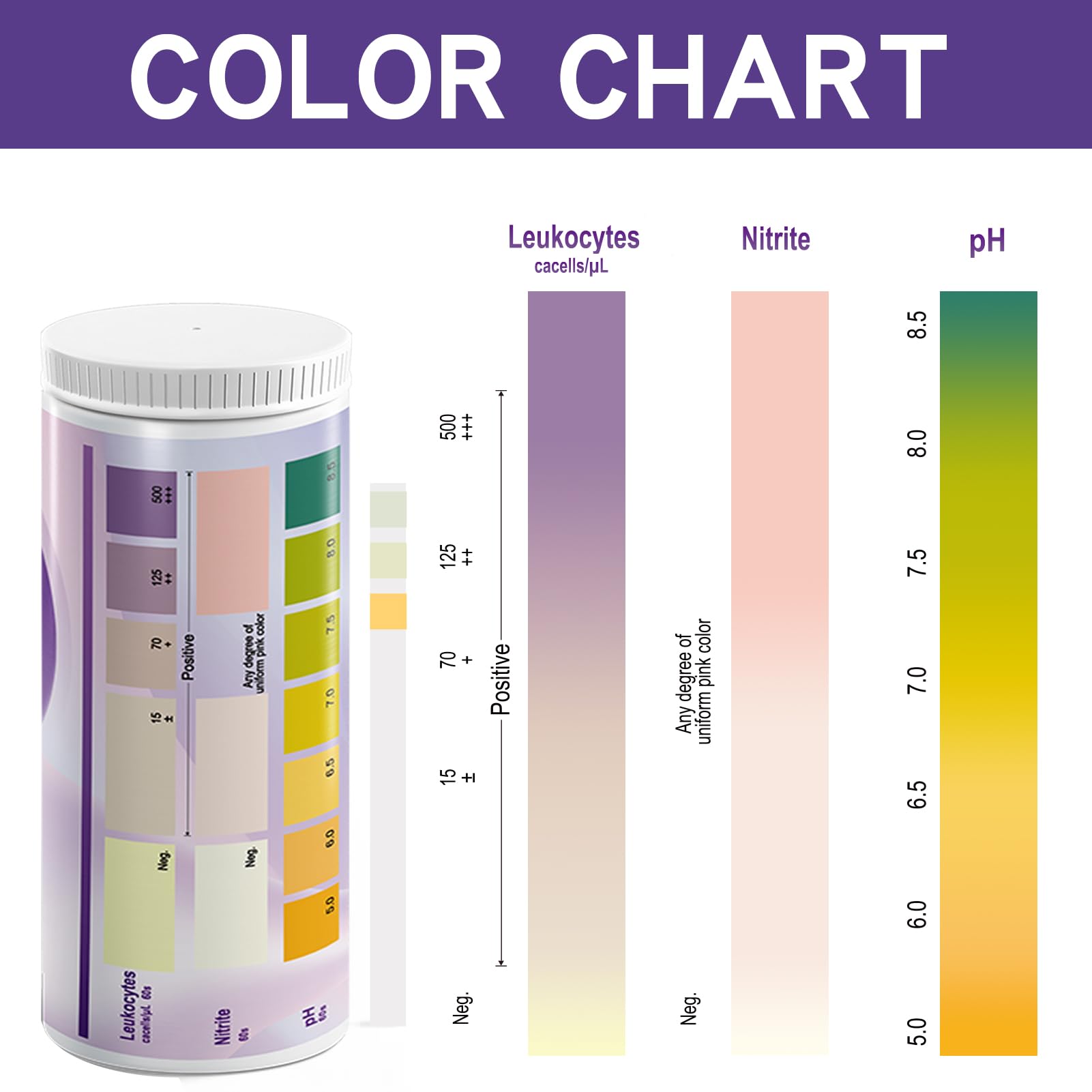 AssuTest UTI Test Strips – 3-in-1 At-Home Urinary Tract Infection Detection (50ct)