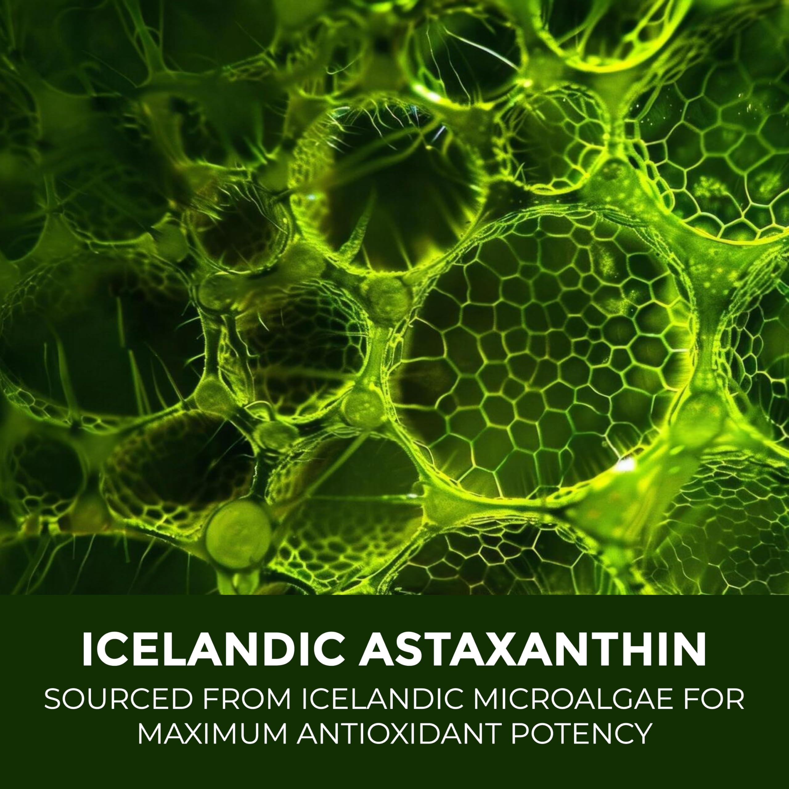 Astaxanthin 12mg – 60-Day Non-GMO Antioxidant for Skin, Eyes & Cellular Health