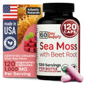 Atlantic Naturals Sea Moss with Beet Root Capsules – Premium Irish Sea Moss Multivitamin (120 ct) | Immune Support, Circulation & Athletic Performance