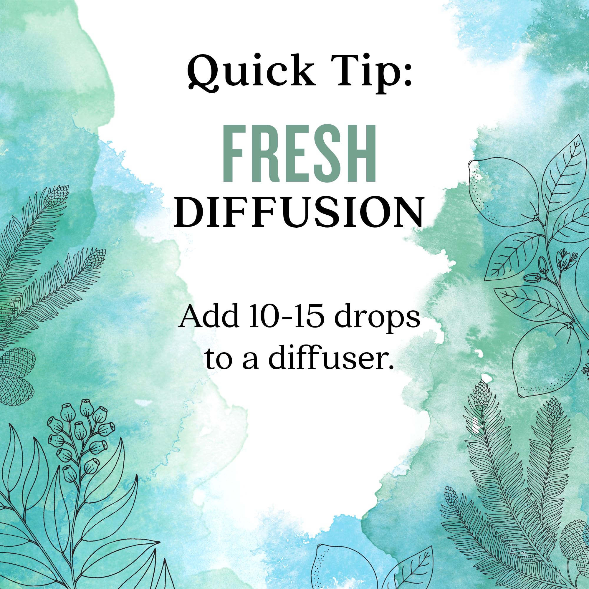 Aura Cacia Fresh Essential Oil Blend – 0.25 fl oz Boxed | Light Aroma, No Synthetic Fragrances