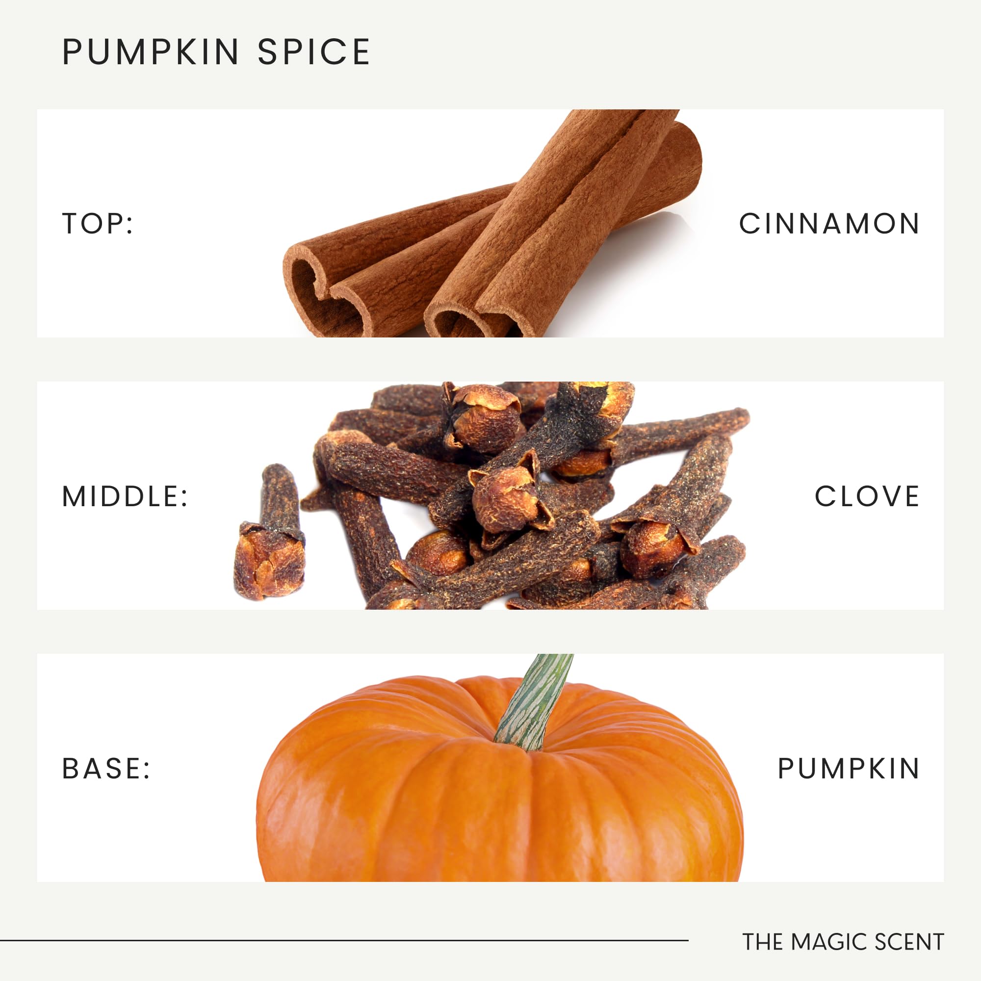 Pumpkin Spice Diffuser Oil - The Magic Scent (8.5 fl oz / 250 mL)