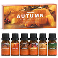 Autumn Fragrance Oil Set | ARVIDSSON Fall Essential Oils