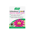 AVogel Echinaforce Junior Chewable Tabs – Organic Echinacea for Kids | Immune Support | 90 Tabs
