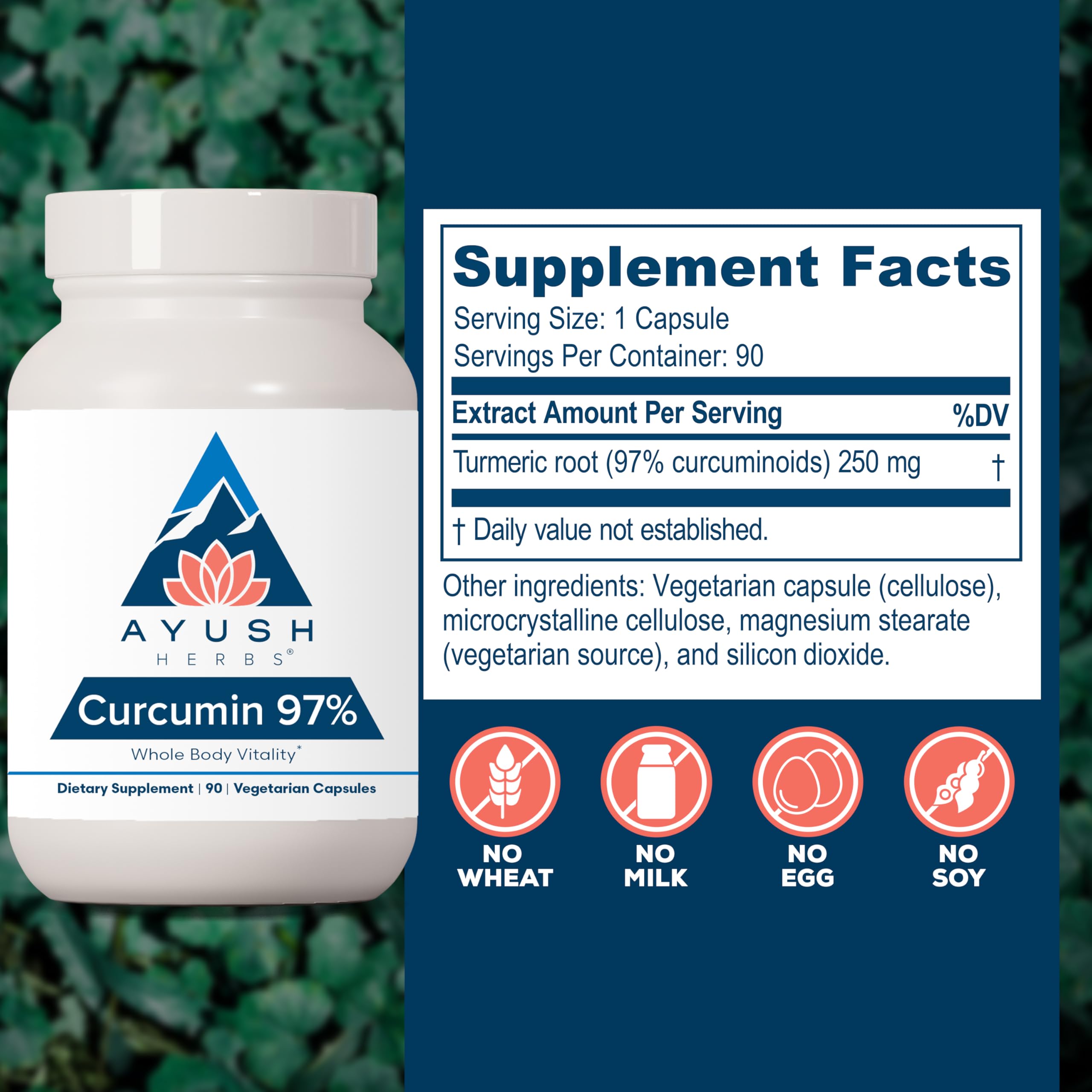 Ayush Herbs Curcumin 97% – Premium Turmeric Curcuminoids, Joint Support, 90 Veg Capsules