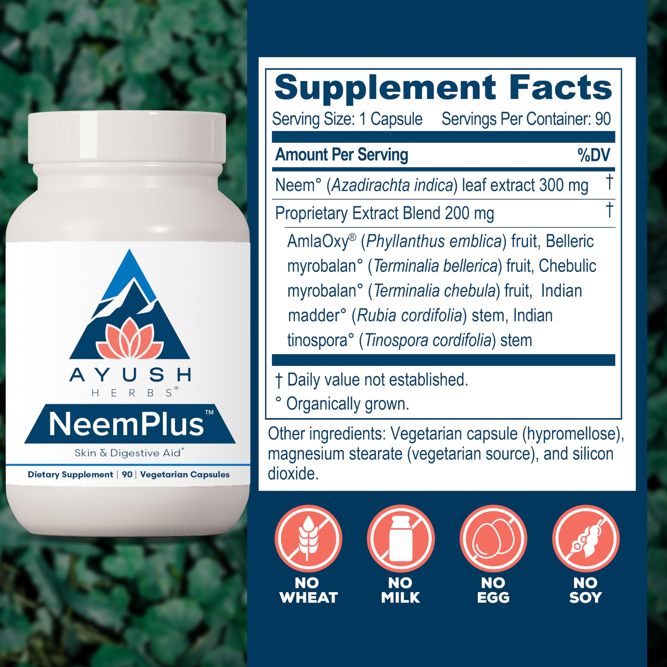 Ayush Herbs Neem Plus - Digestive Health, Skin & Immune Support, 90 Vegetarian Capsules