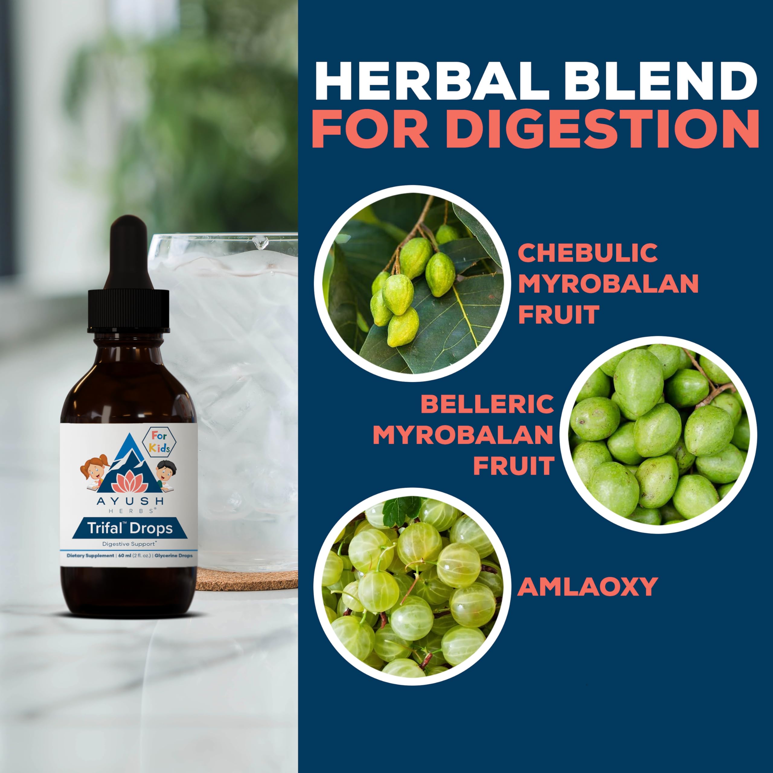 Ayush Herbs Trifal Drops for Kids - Digestive & Immune Support (Alcohol-Free) 2 fl oz