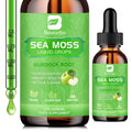 B BEWORTHS Sea Moss Liquid Drops – Organic Irish Sea Moss Gel with Burdock & Vitamins | 2 Fl Oz