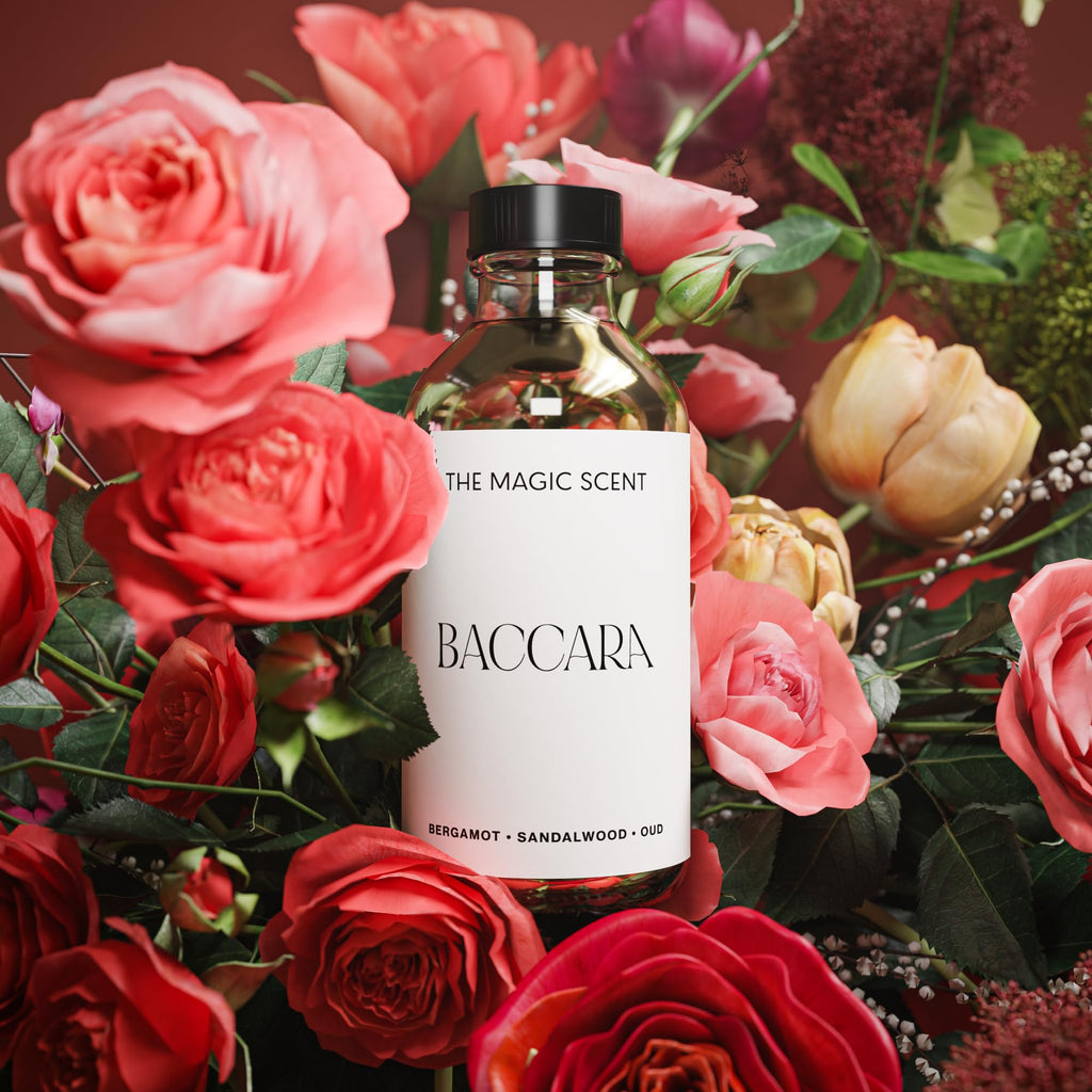 The Magic Scent Baccara Diffuser Oil – Luxury Hotel & Home Scents (16.9 oz / 500 mL)