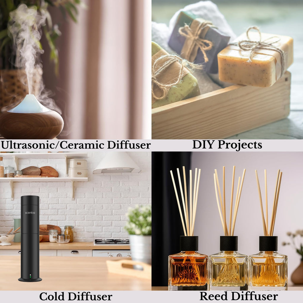 Scentia Hotel Diffuser Oil – Secret Voyage (50 mL) Cedar & Jasmine