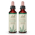 Bach Agrimony 20ml Dropper Pack 2 - Communicate Openly