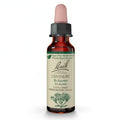 Centaury (Non-Alcohol Formula) | Bach Original Flower Remedies – Be Assertive | 10mL Dropper