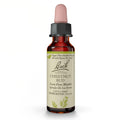 Chestnut Bud Non-Alcohol Flower Remedy – Bach Original | Learn From Mistakes | 10mL Dropper