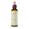 Chestnut Bud Bach Original Flower Remedy – Learn from Mistakes (20mL Dropper)