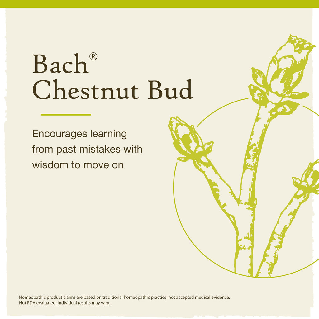Chestnut Bud Bach Original Flower Remedy – Learn from Mistakes (20mL Dropper)