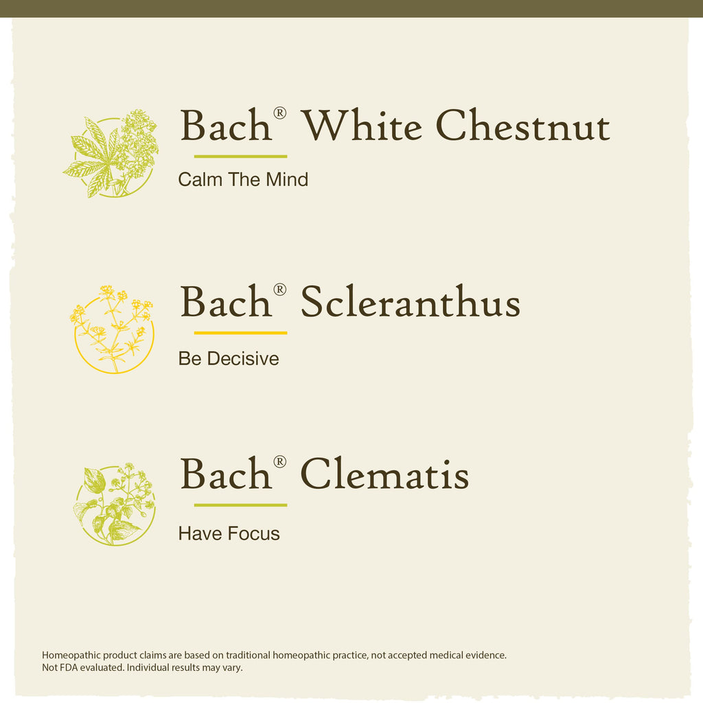 Bach Original Flower Remedies Clarity of Mind Kit – Focus & Mindfulness (3 x 20mL Droppers)