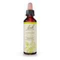Bach Clematis Have Focus - Original Flower Remedies | 20mL Dropper