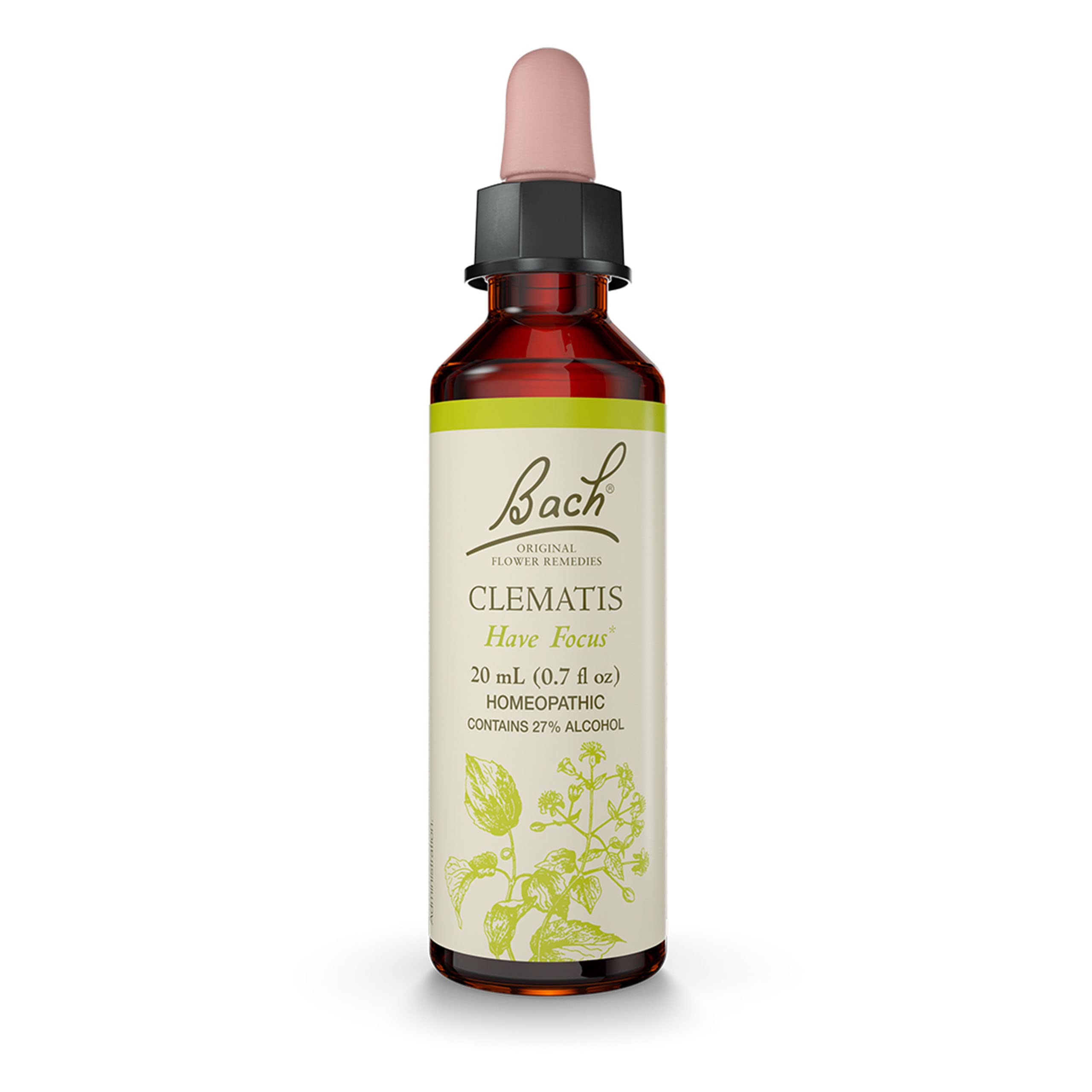Bach Clematis Have Focus - Original Flower Remedies | 20mL Dropper